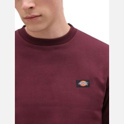 Dickies New Jersey logo sweatshirt Maroon