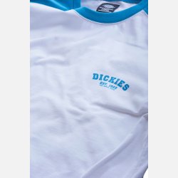 Dickies Baseball Blue Sky
