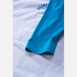 Dickies Baseball Blue Sky