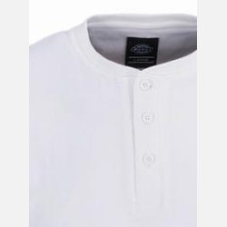 Dickies Hixton White