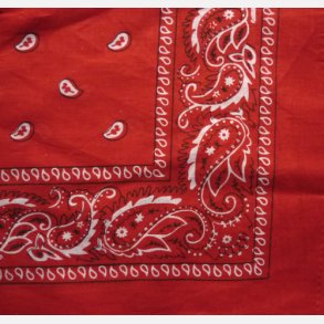 Bandana rd Paisley