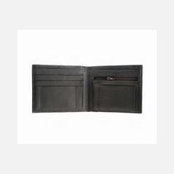 Dickies Ottawa Lake brown