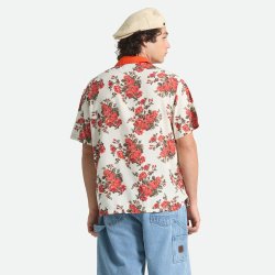 Brixton Lafayttte - Rose print 