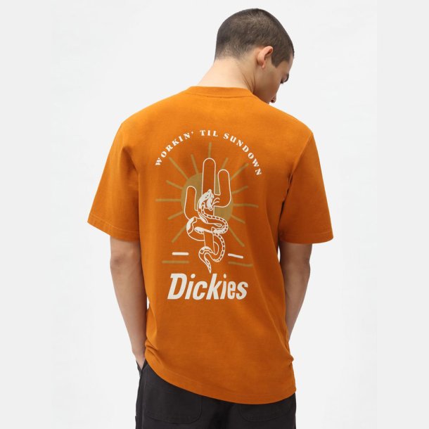 Dickies Bettles T-shirt Pumpkin Spice