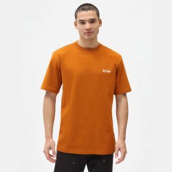 Dickies Bettles T-shirt Pumpkin Spice