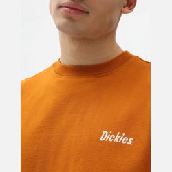 Dickies Bettles T-shirt Pumpkin Spice
