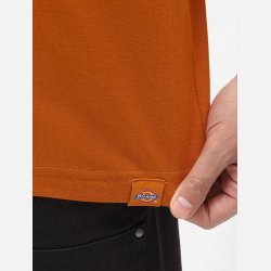 Dickies Bettles T-shirt Pumpkin Spice