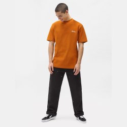 Dickies Bettles T-shirt Pumpkin Spice