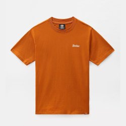 Dickies Bettles T-shirt Pumpkin Spice