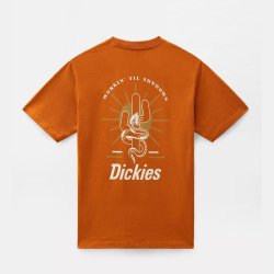 Dickies Bettles T-shirt Pumpkin Spice