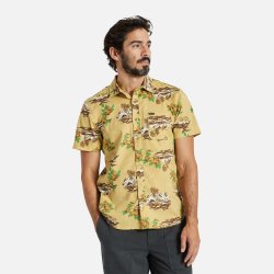 Brixton Charter Paradise safari