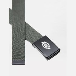 Dickies Orcutt blte i Dark Olive