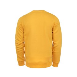 Dickies Pittsburgh sweatshirt gul