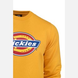 Dickies Pittsburgh sweatshirt gul