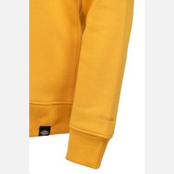 Dickies Pittsburgh sweatshirt gul