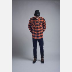 Dickies Sacramento Harvest pumpkin