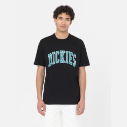 Dickies Aitkin T-shirt Black Deep Lake