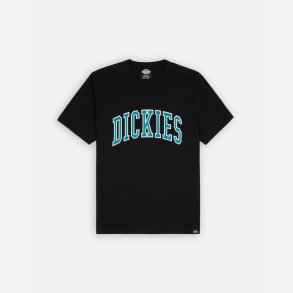 Dickies Aitkin T-shirt Black Deep Lake