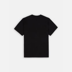 Dickies Aitkin T-shirt Black Deep Lake
