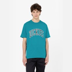 Dickies Aitkin T-shirt Deep Lake Blue