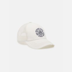  Dickies Beavertown Trucker Cap Cloud