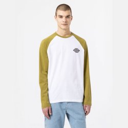 Dickies LS Cologne Baseball Green Moss