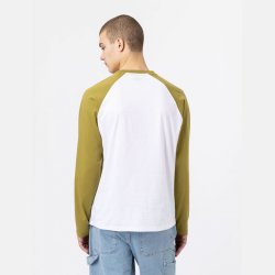 Dickies LS Cologne Baseball Green Moss