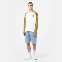 Dickies LS Cologne Baseball Green Moss