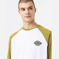 Dickies LS Cologne Baseball Green Moss