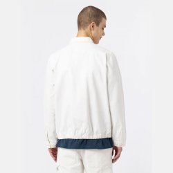Dickies Duck Canvas Jacket Cloud