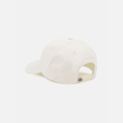 Dickies Hardwick Baseball Cap Cloud