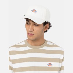 Dickies Hardwick Baseball Cap Cloud