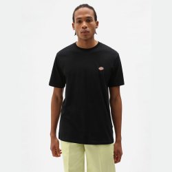Dickies Mapleton t-shirt Black