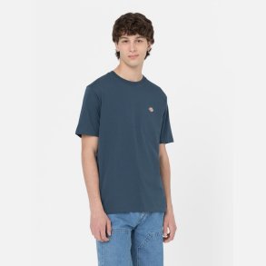 Dickies Mapleton t-shirt Air Force Blue