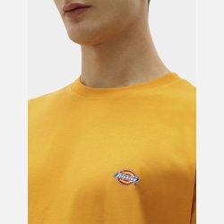 Dickies Mapleton t-shirt gul