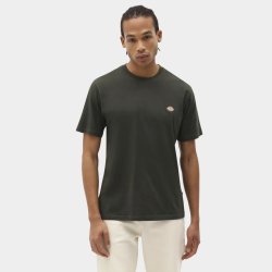 Dickies Mapleton t-shirt Olive