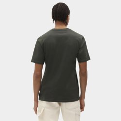 Dickies Mapleton t-shirt Olive