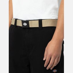 Dickies Orcutt blte i Khaki