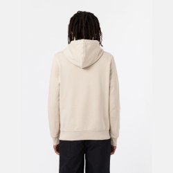 Dickies Pacific Hoodie cement
