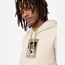 Dickies Pacific Hoodie cement