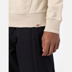 Dickies Pacific Hoodie cement