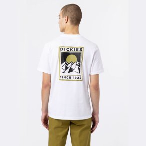 Dickies Pacific T-shirt White