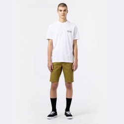 Dickies Pacific T-shirt White