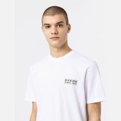 Dickies Pacific T-shirt White
