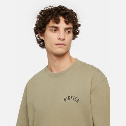 Dickies Panther T-Shirt Imperial Green