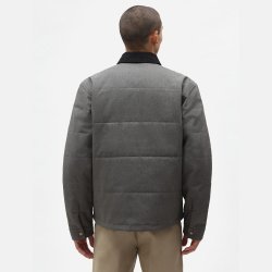 Dickies Pedro Bay jakke