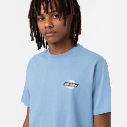 Dickies Ruston T-Shirt i Allure