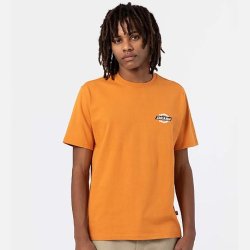 Dickies Ruston T-Shirt i Golden Ochre