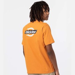 Dickies Ruston T-Shirt i Golden Ochre