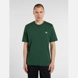 Dickies Mapleton t-shirt Pine Needle